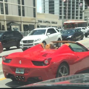 Meet your Posher, Alan